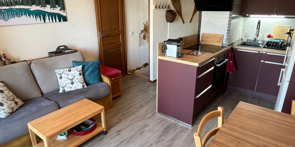 appartement à ST LARY SOULAN (65170)